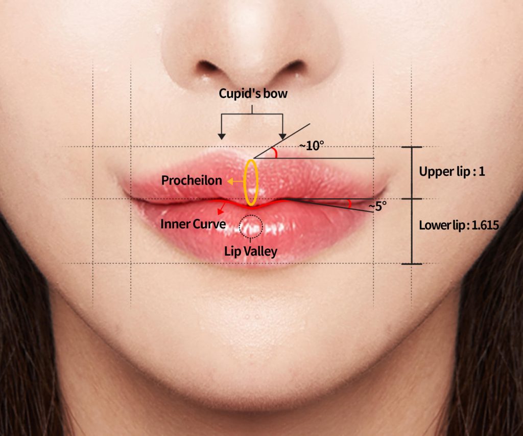 The Ideal Lip Shape in Plastic Surgery