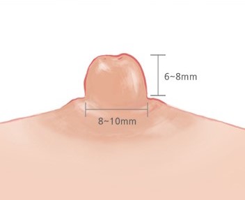 Ideal nipple size for breasts | Hyundai Aesthetics Plastic Surgery
