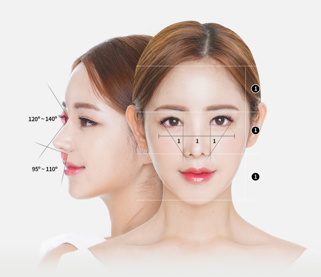 Golden ratio for ideal female Asian nose | Hyundai Aesthetics Plastic Surgery
